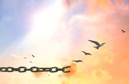 Image of birds breaking free from chains