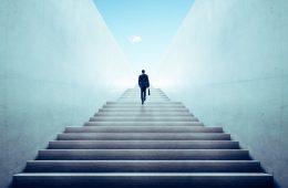 Demand Planning career path