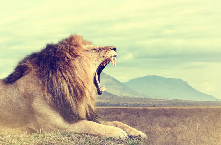 Executive S&OP Meeting