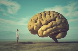 Man looking up at huge brain.