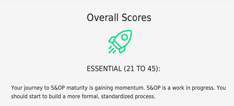 Maturity model sample output